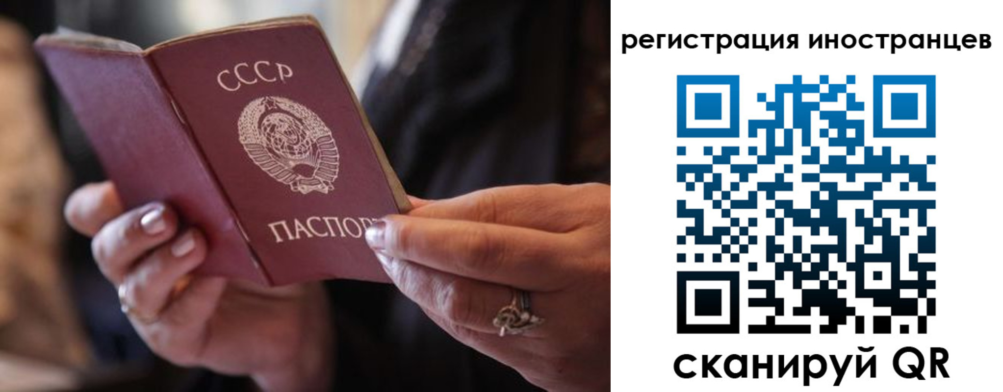 где прописаться в Александровске